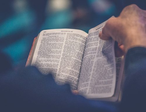 Lectionary Reflections: Reign of Christ